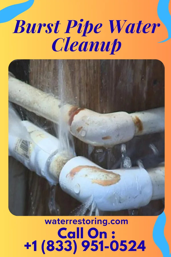 Burst Pipe Water Cleanup in Chippewa Falls, WI