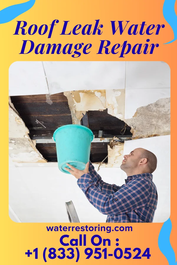 Roof Leak Water Damage Repair in Chippewa Falls, WI